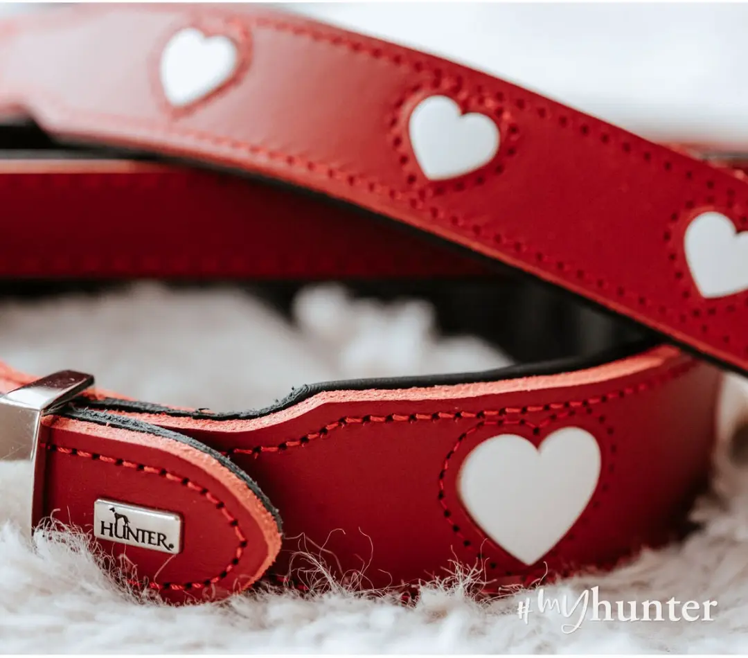 Hunter Collar Love - Rood S