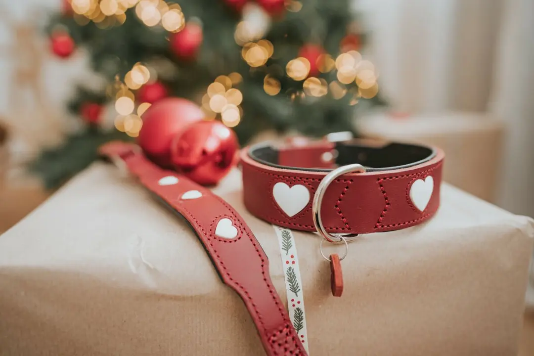 Hunter Collar Love - Rood S