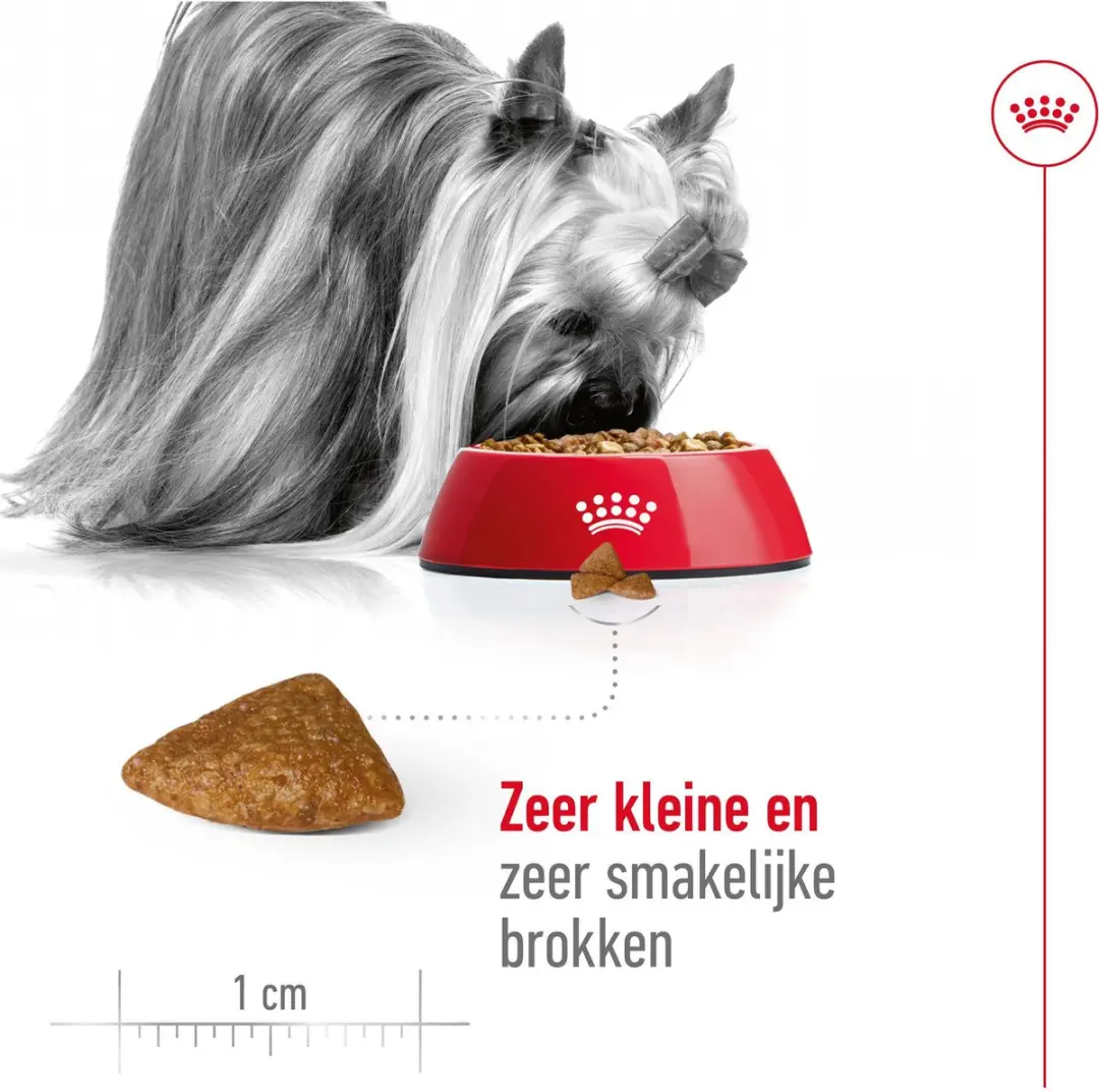 Royal Canin X-Small Ageing 12+ Hondenvoer 1,5 kg