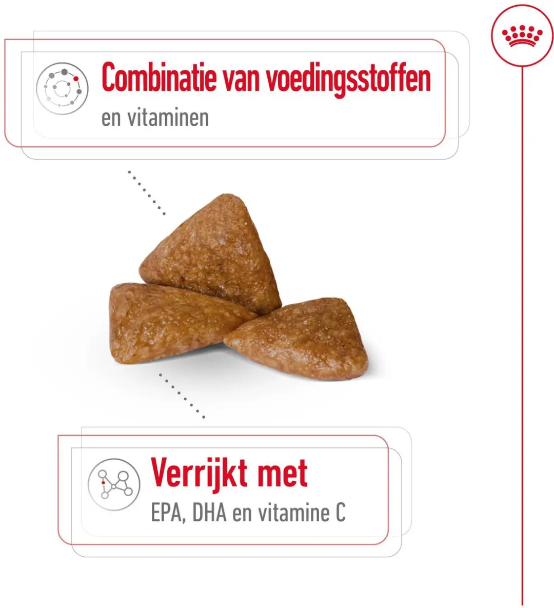 Royal Canin X-Small Ageing 12+ Hondenvoer 1,5 kg