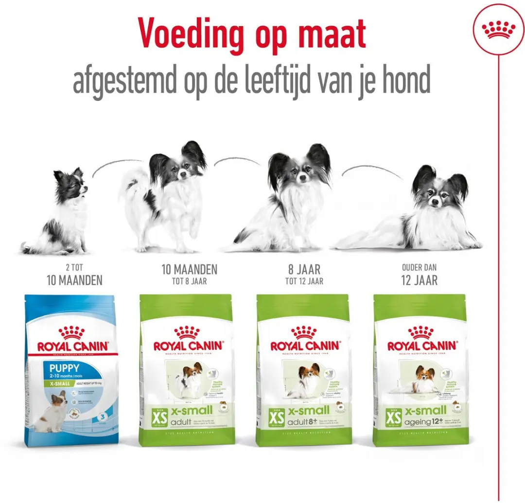 Royal Canin X-Small Ageing 12+ Hondenvoer 1,5 kg