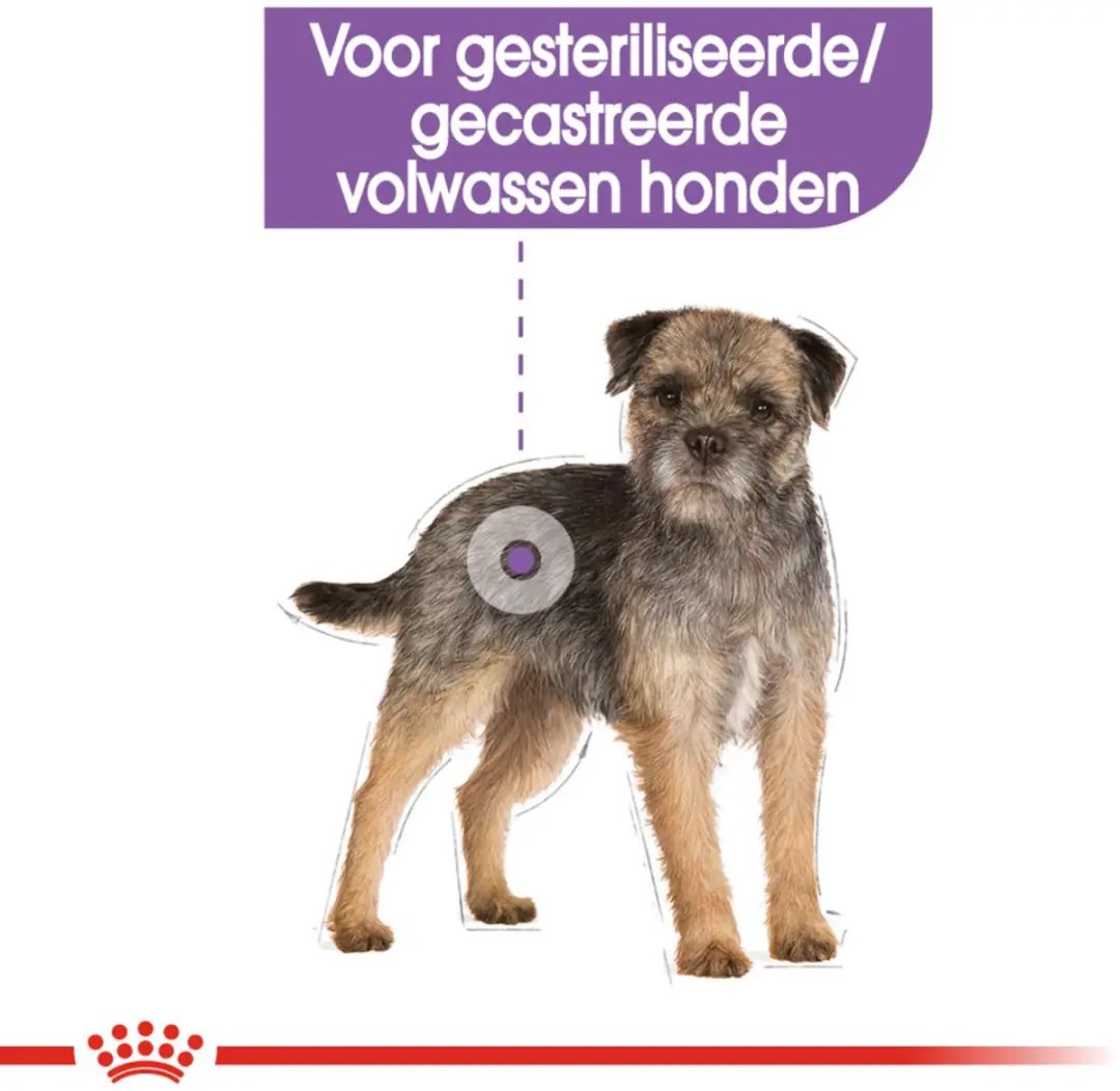 Royal Canin Sterilised Mini Hondenvoer - 12 kg