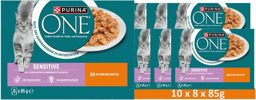 Purina ONE Sensitive Kattenvoer