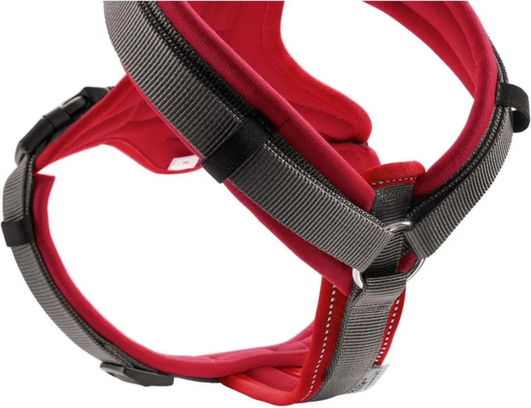 Hunter Harnas Maldon Rood&Grijs - 69-105 cm