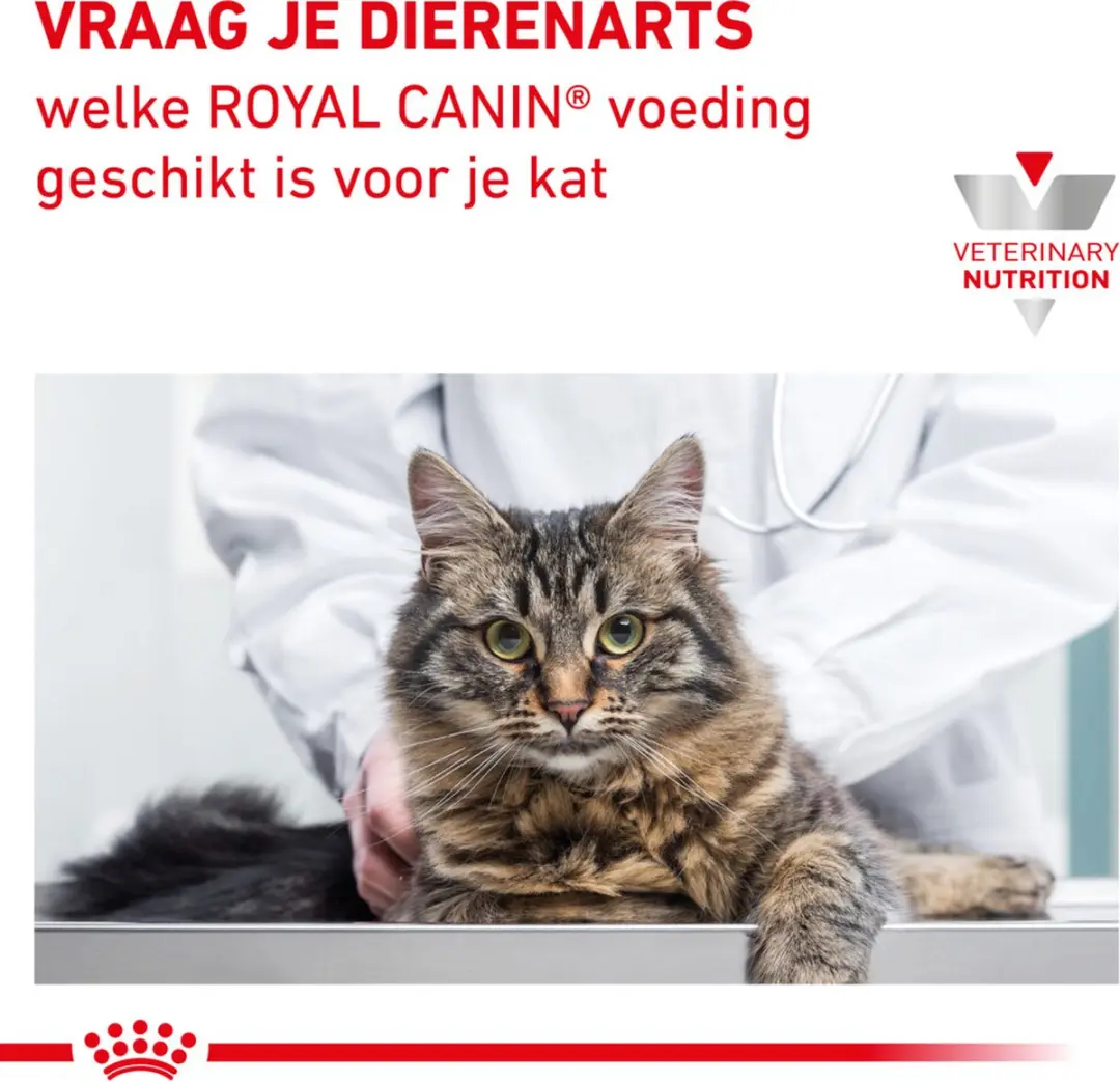Royal Canin Renal met Rund 85g Natvoer - 48 Stuks