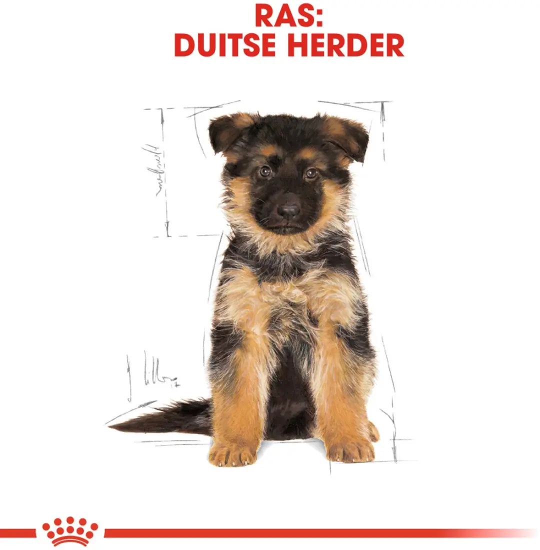 Royal Canin German Shepherd Puppy Hondenvoer 12kg