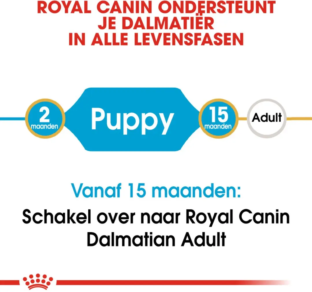 Royal Canin Dalmatian Junior Hondenvoer - 12 kg