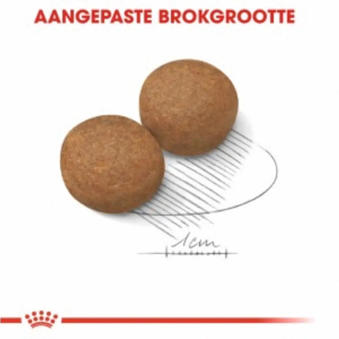 Royal Canin Maxi Adult Hondenvoer 4 kg - afbeelding 6 van 6