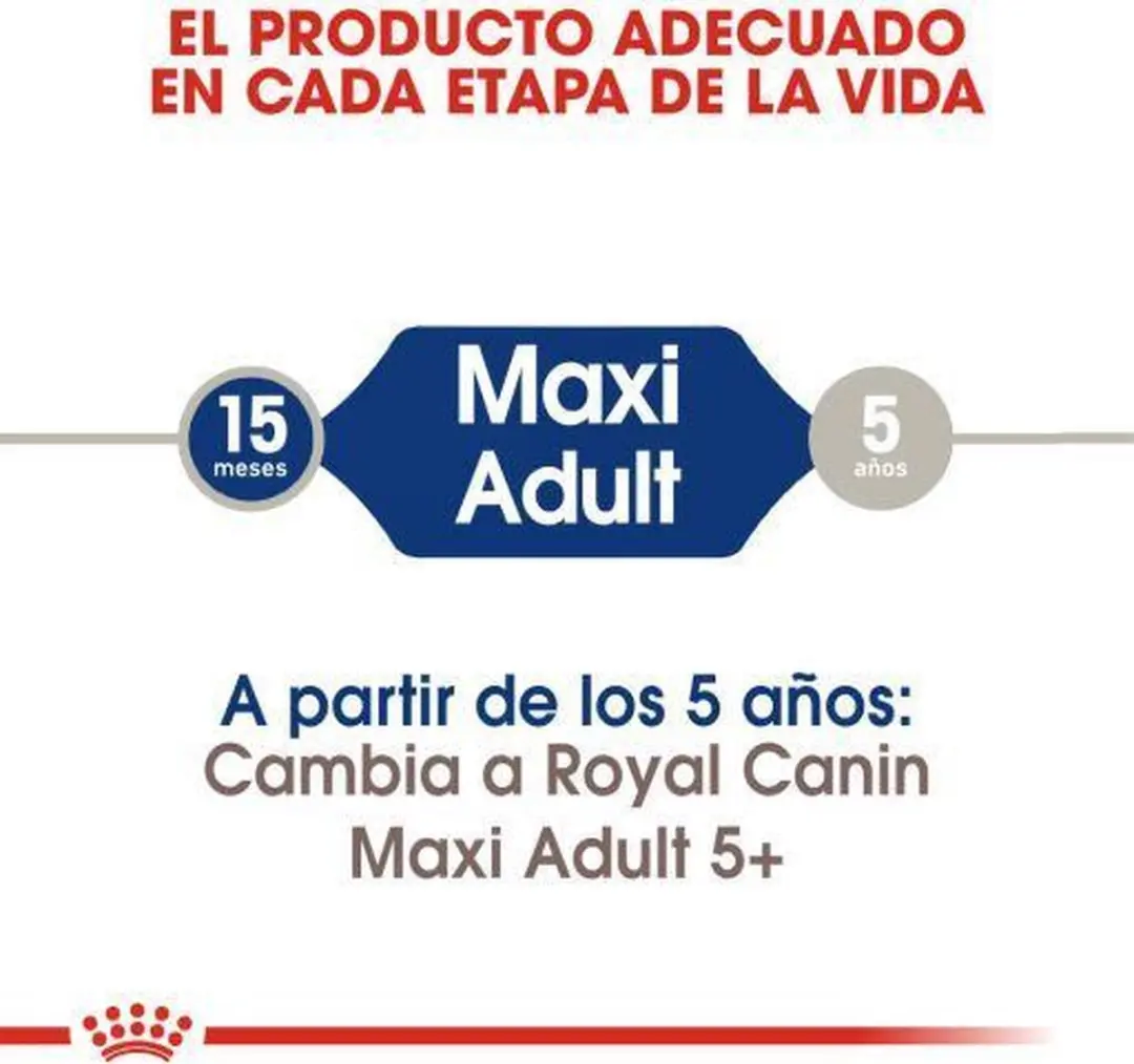 Royal Canin Maxi Adult Hondenvoer 4 kg
