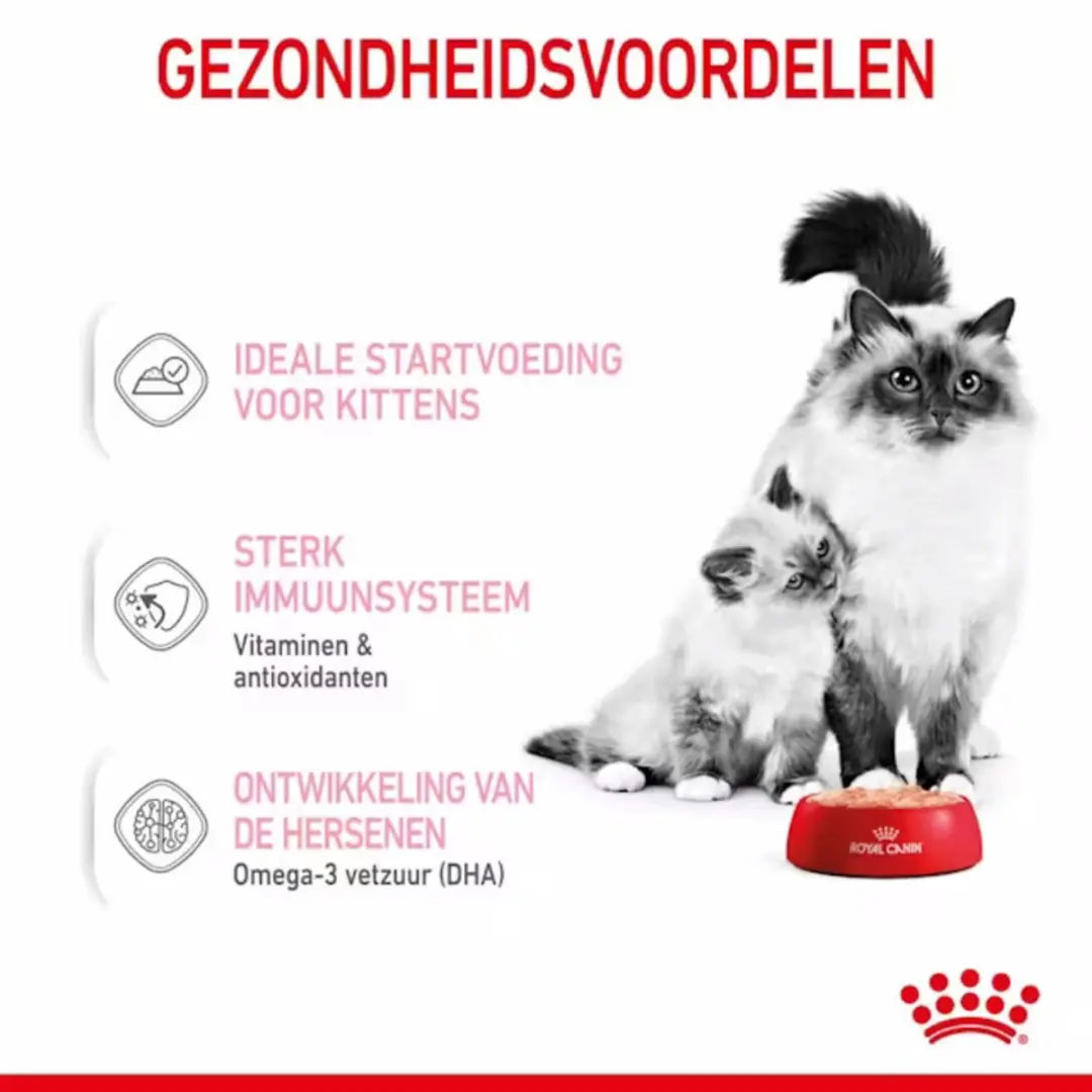Royal Canin Wet Mother & Babycat Mousse - 12 x 195g - afbeelding 6 van 6