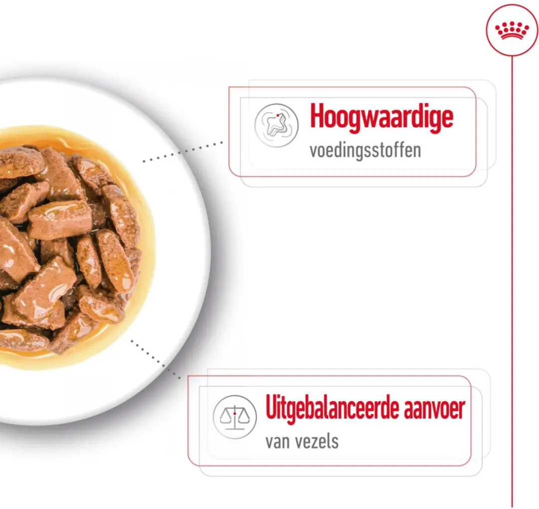 Royal Canin Maxi Adult Hondenvoer - 40 Stuks (4x10x140g)