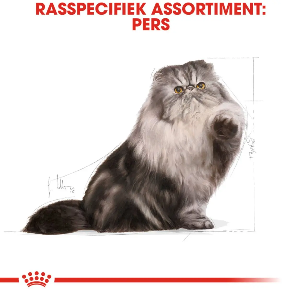 Royal Canin Persian Adult Kattenvoer - 6x2kg
