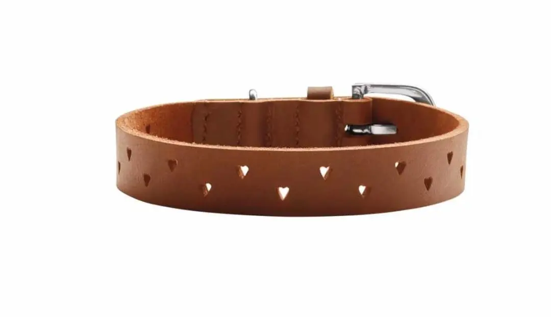 Hunter Hondenhalsband Aalborg Soul