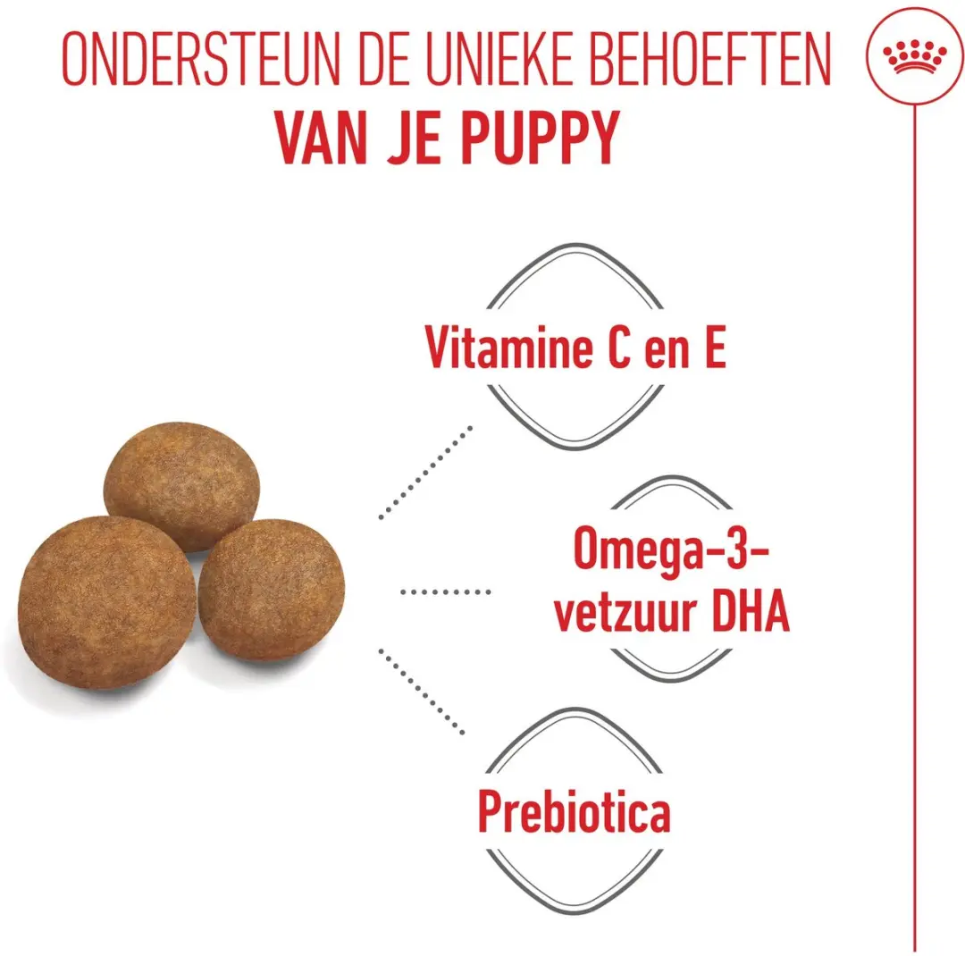 Royal Canin Maxi Junior Hondenvoer 10kg - afbeelding 6 van 6