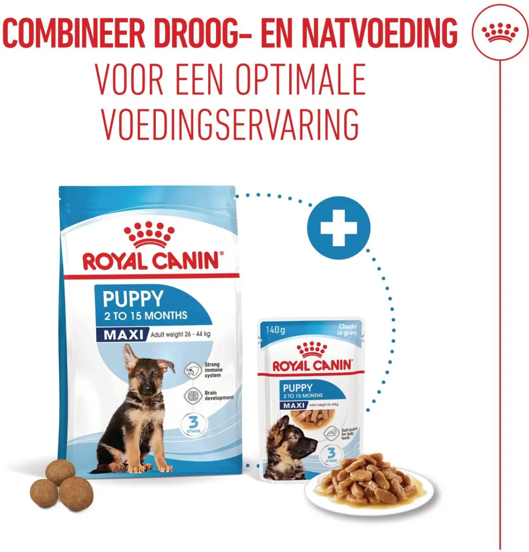 Royal Canin Maxi Junior Hondenvoer 10kg