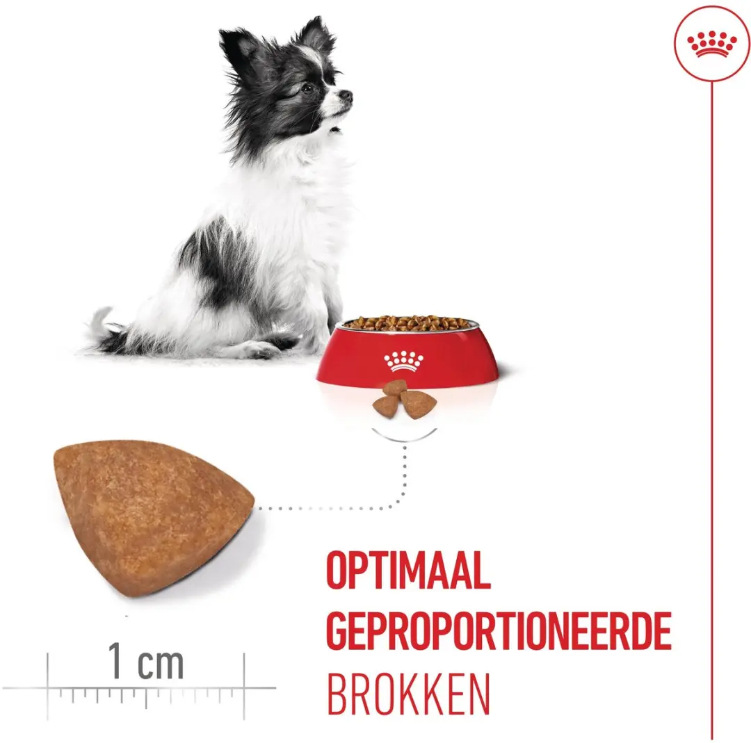 Royal Canin X-Small Puppy Hondenvoer 500g