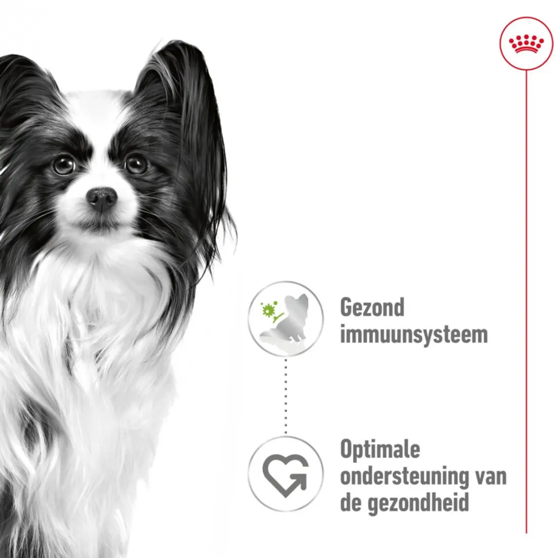 Royal Canin Extra Small Adult Natvoer 48x85g