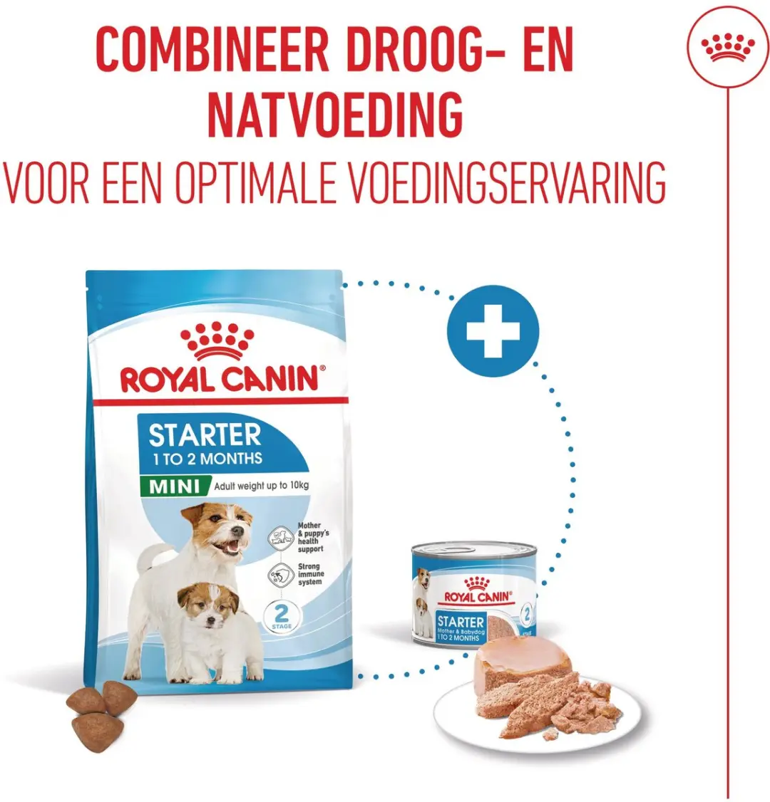 Royal Canin Starter Mousse Mother & Babydog - 12x195g