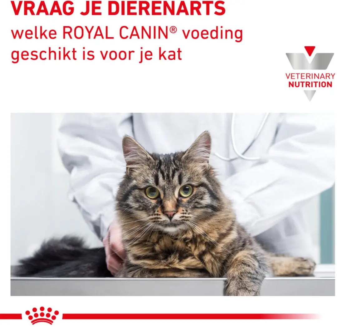 Royal Canin Kat Renal Tuna - 48 Stuks (4x12x85g)