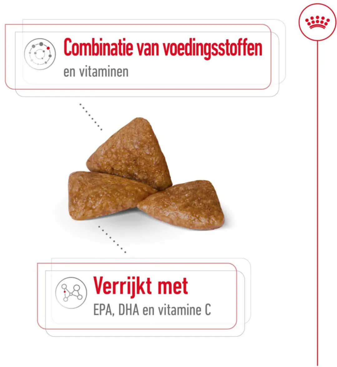 Royal Canin X-Small Ageing 12+ Hondenvoer - 12x500g