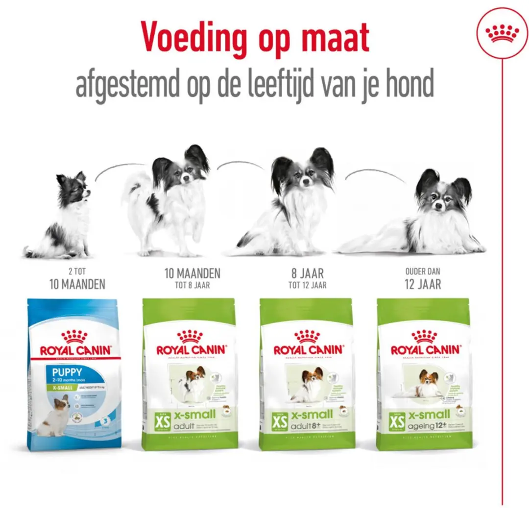 Royal Canin X-Small Ageing 12+ Hondenvoer - 12x500g