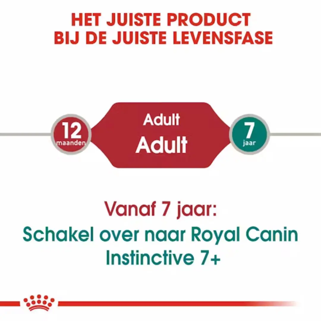 Royal Canin Instinctive In Gravy Kattenvoer - 96 Stuks
