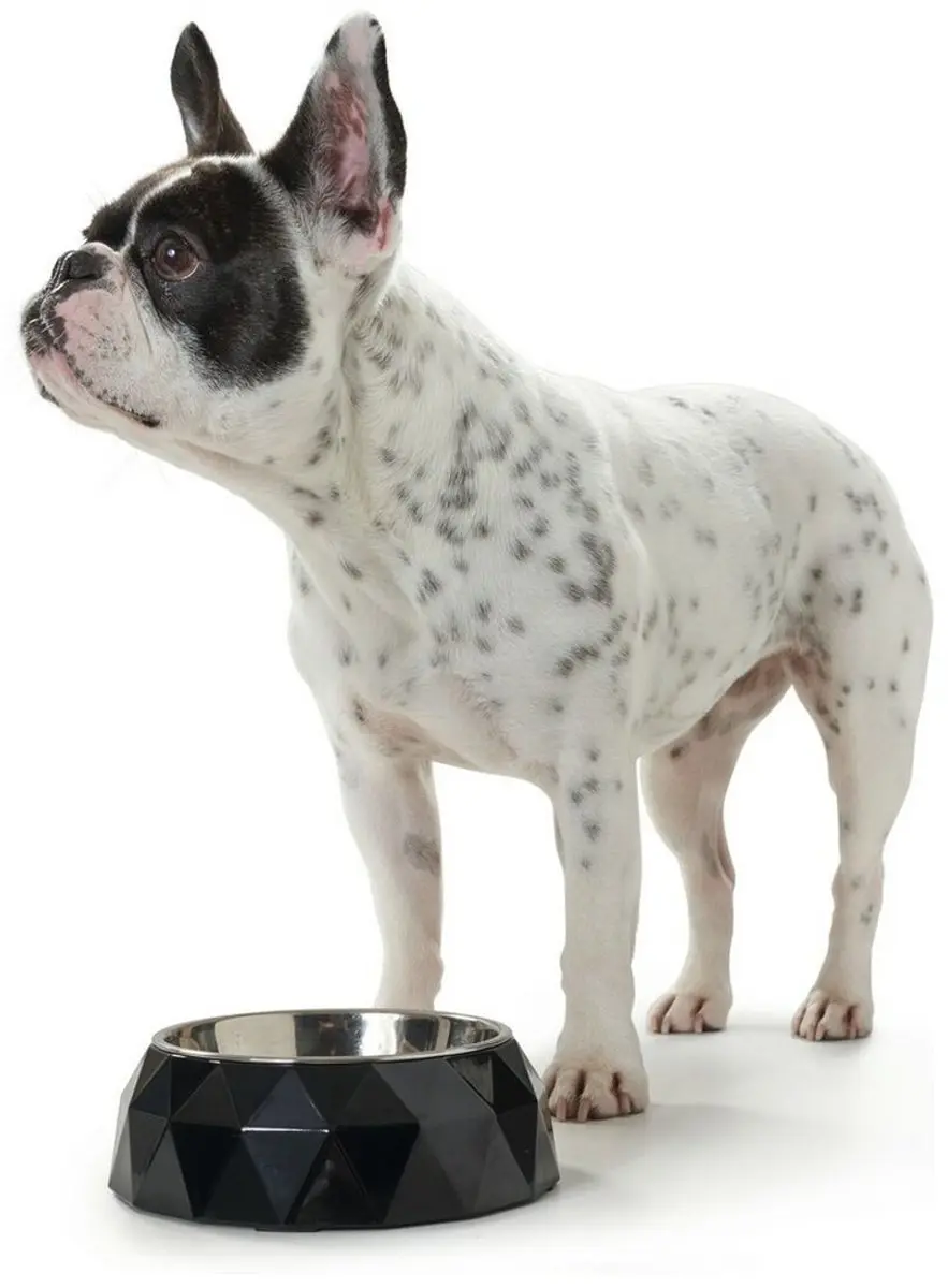 Hunter Kimberley Voerbak Honden - Zwart - 22,5x22,5x4,5cm