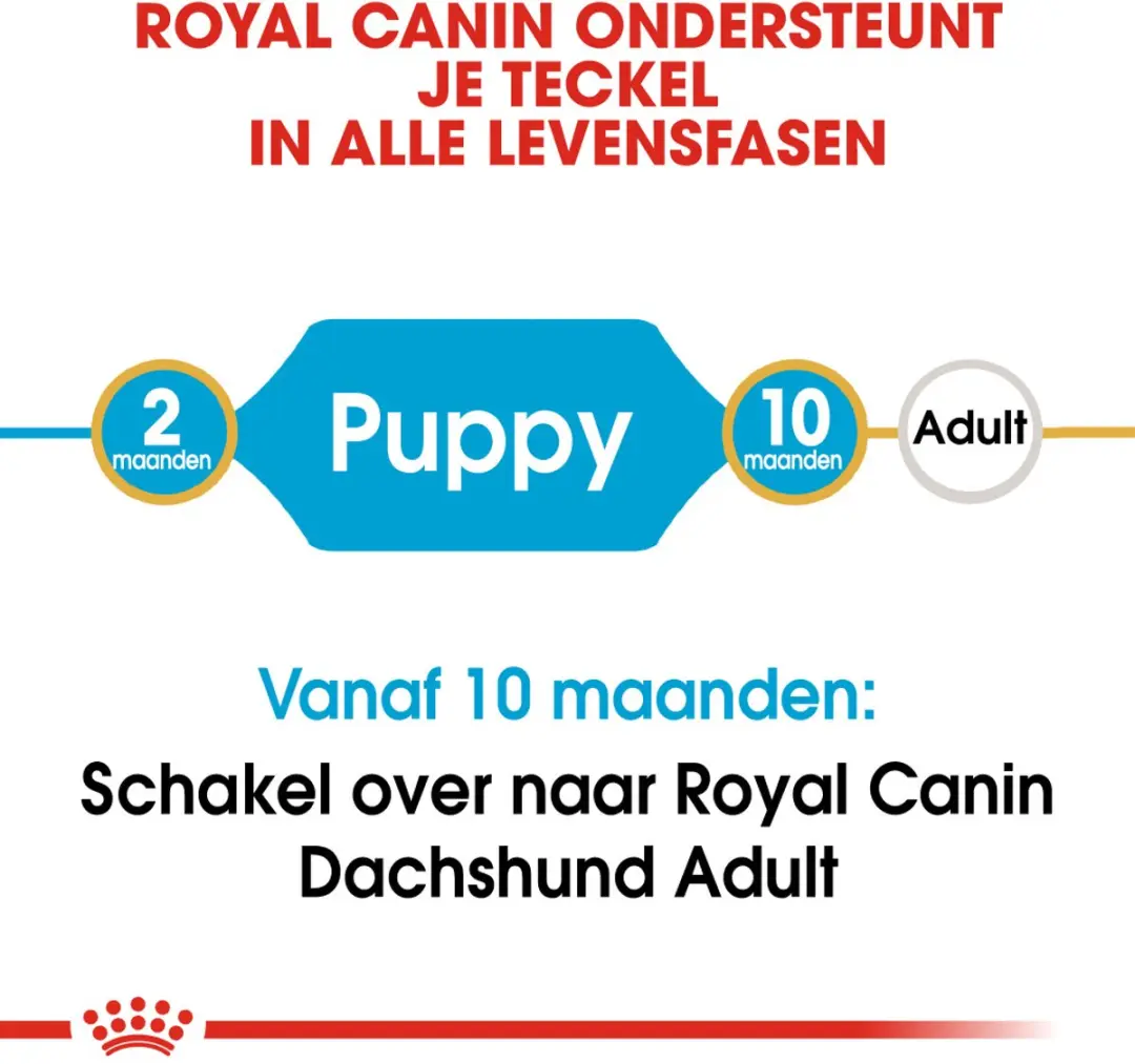 Royal Canin Dachshund Puppy Hondenvoer - 1.5 kg