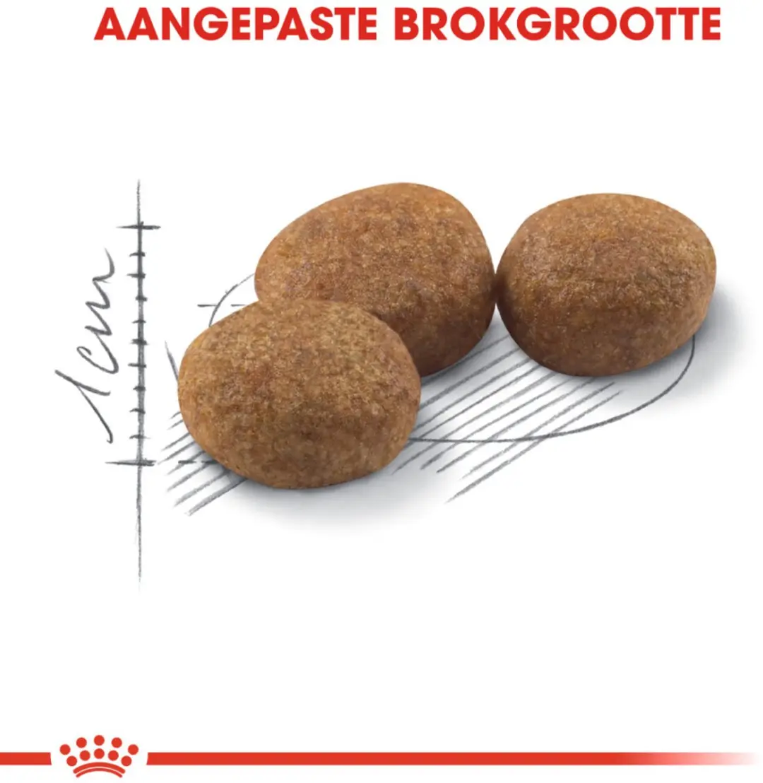 Royal Canin Sterilised 37 Kattenvoer - 12 kg (6x2kg)