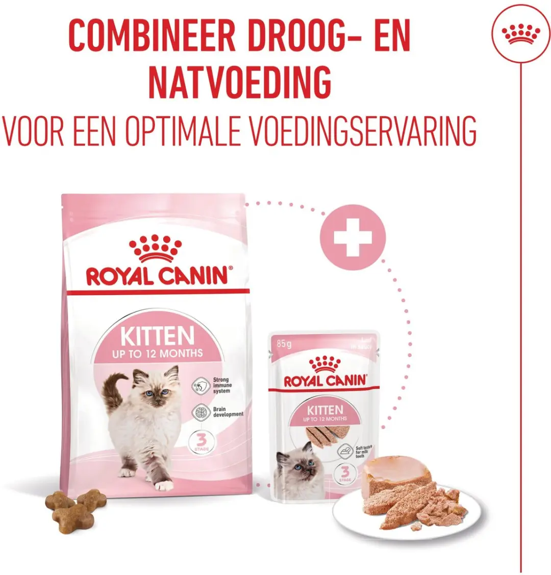 Royal Canin Kitten Paté - 12x85g