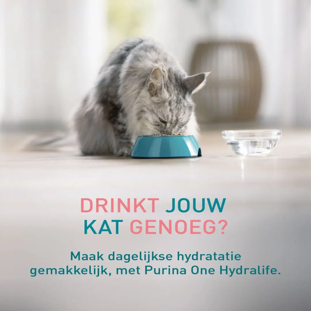 Purina ONE Hydralife Natvoer Kip - 24 Stuks