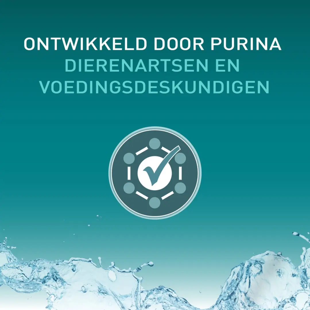 Purina ONE Hydralife Natvoer Kip - 24 Stuks