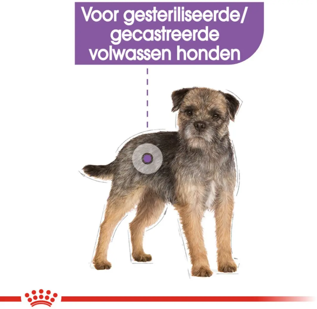 Royal Canin CCN Sterilised Hondenvoer - 48 Stuks (4x12x85g)
