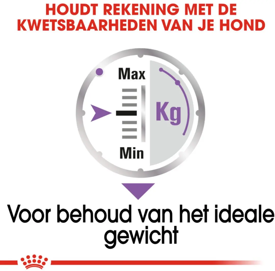 Royal Canin CCN Sterilised Hondenvoer - 48 Stuks (4x12x85g)