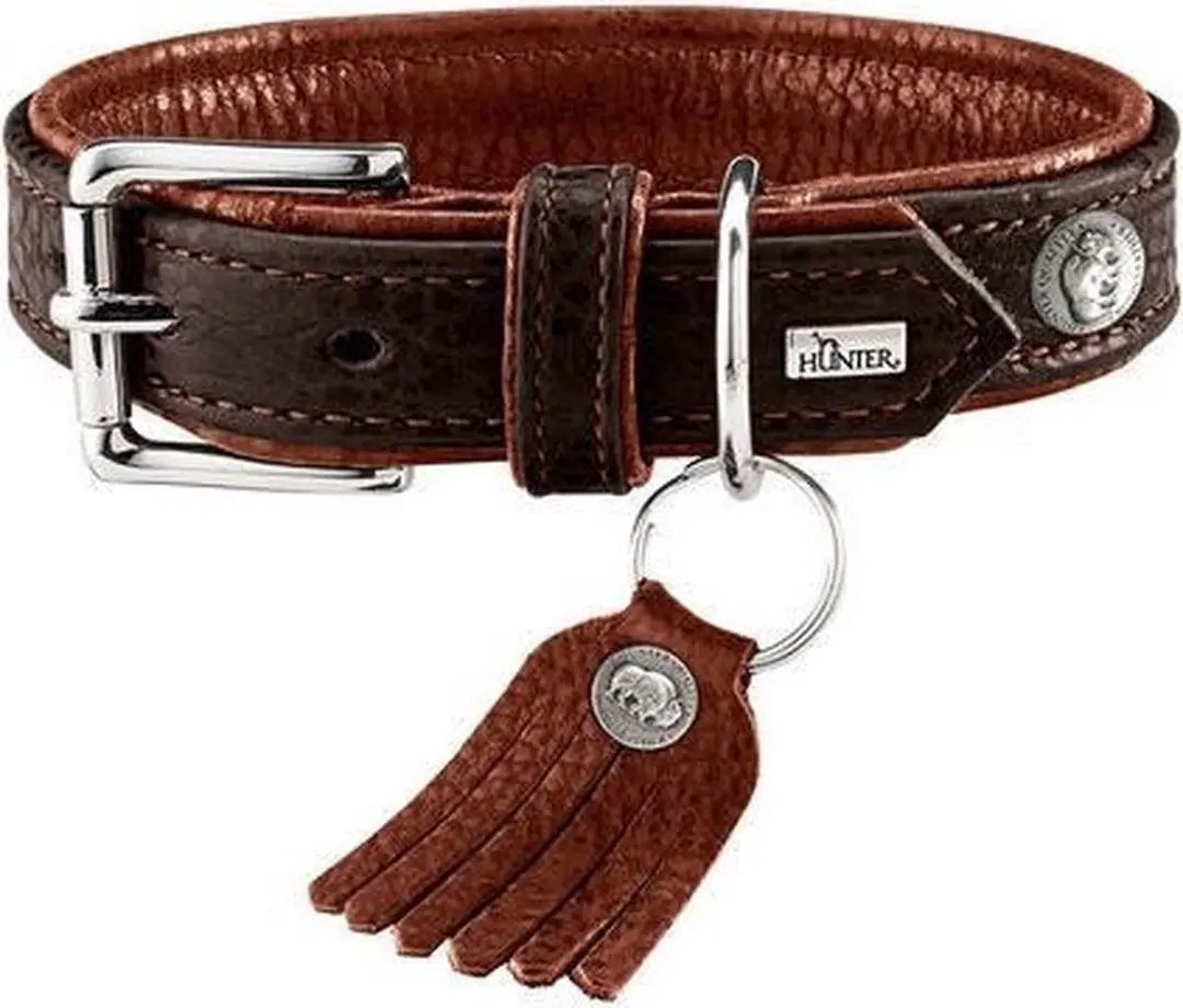 Hunter Halsband Cody