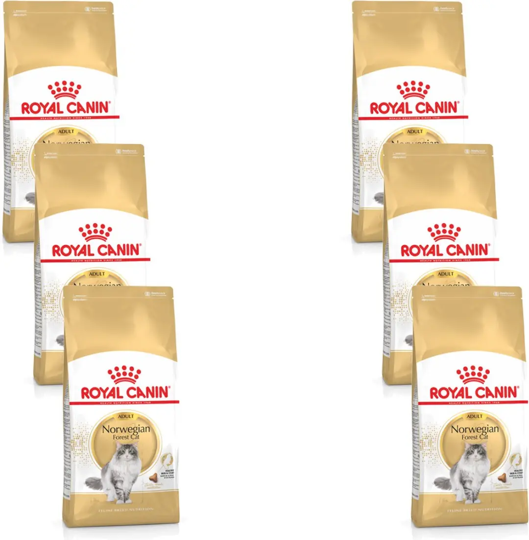Royal Canin Norwegian Forest Cat Adult Kattenvoer
