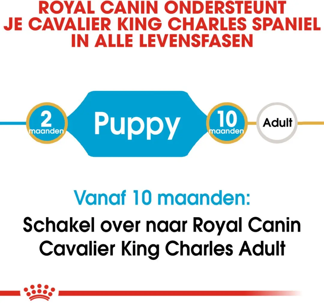 Royal Canin Cavalier King Charles Puppy Hondenvoer 1.5kg - afbeelding 6 van 6