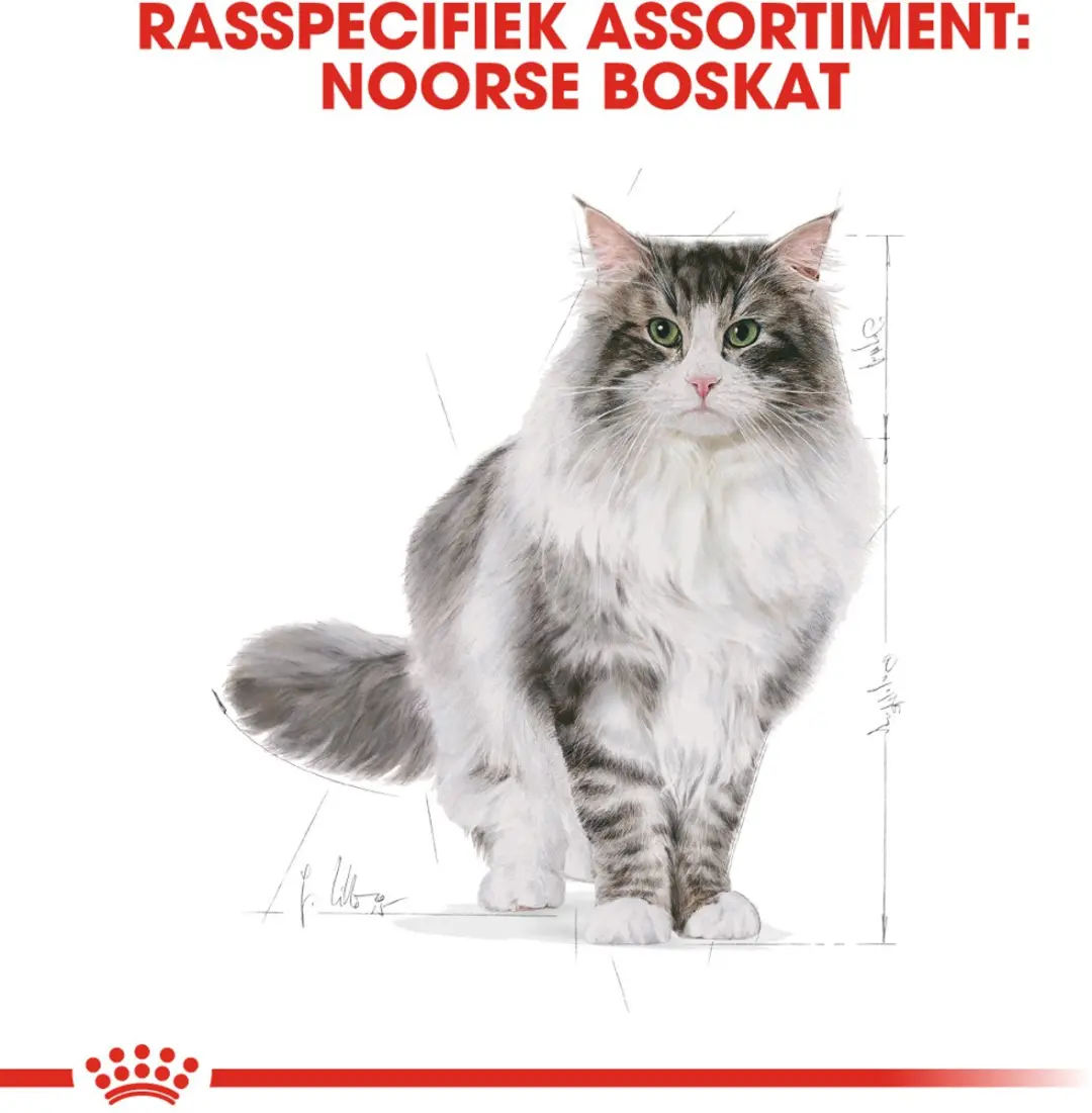 Royal Canin Norwegian Forest Cat Adult Kattenvoer - 10 kg
