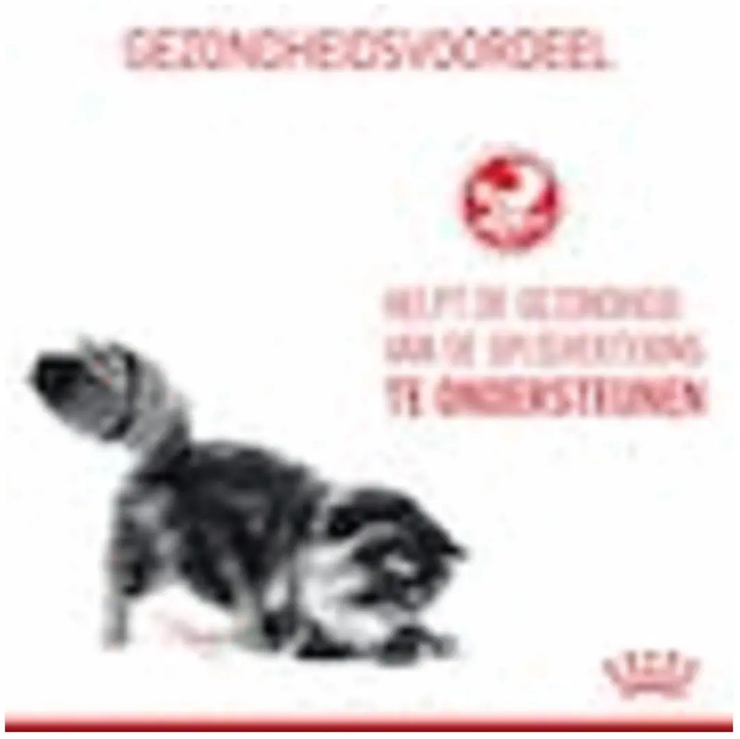 Royal Canin Digestive Care Kattenvoer 2kg - afbeelding 6 van 6