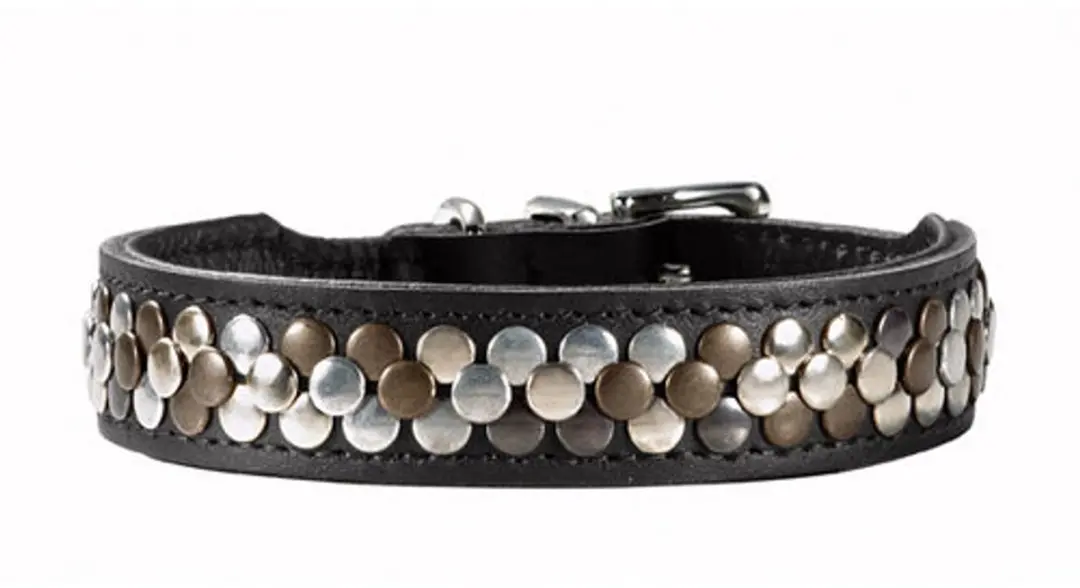 Hunter Arizona Halsband Hond - Zwart - 41-49 cm