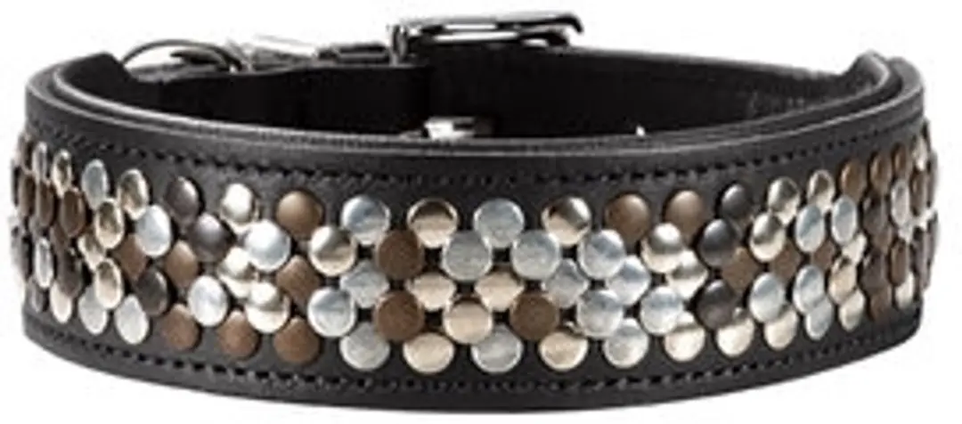 Hunter Arizona Halsband Hond