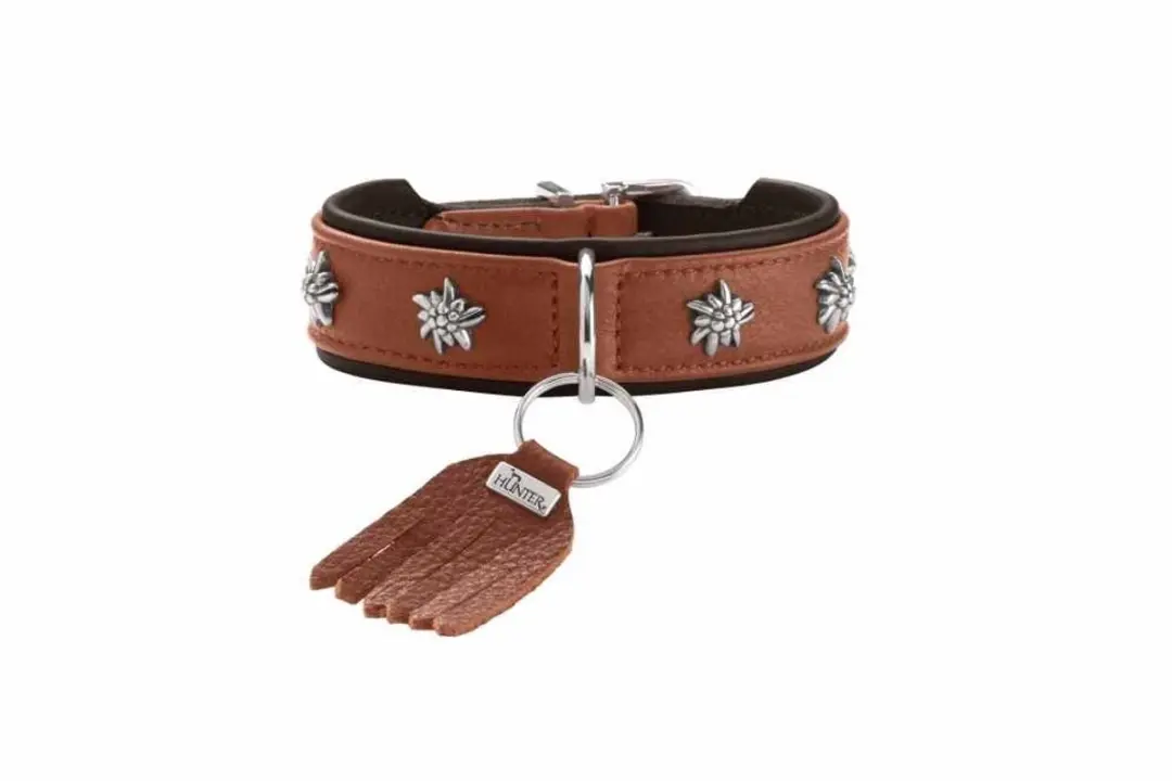 Hunter München Hondenhalsband Cognac