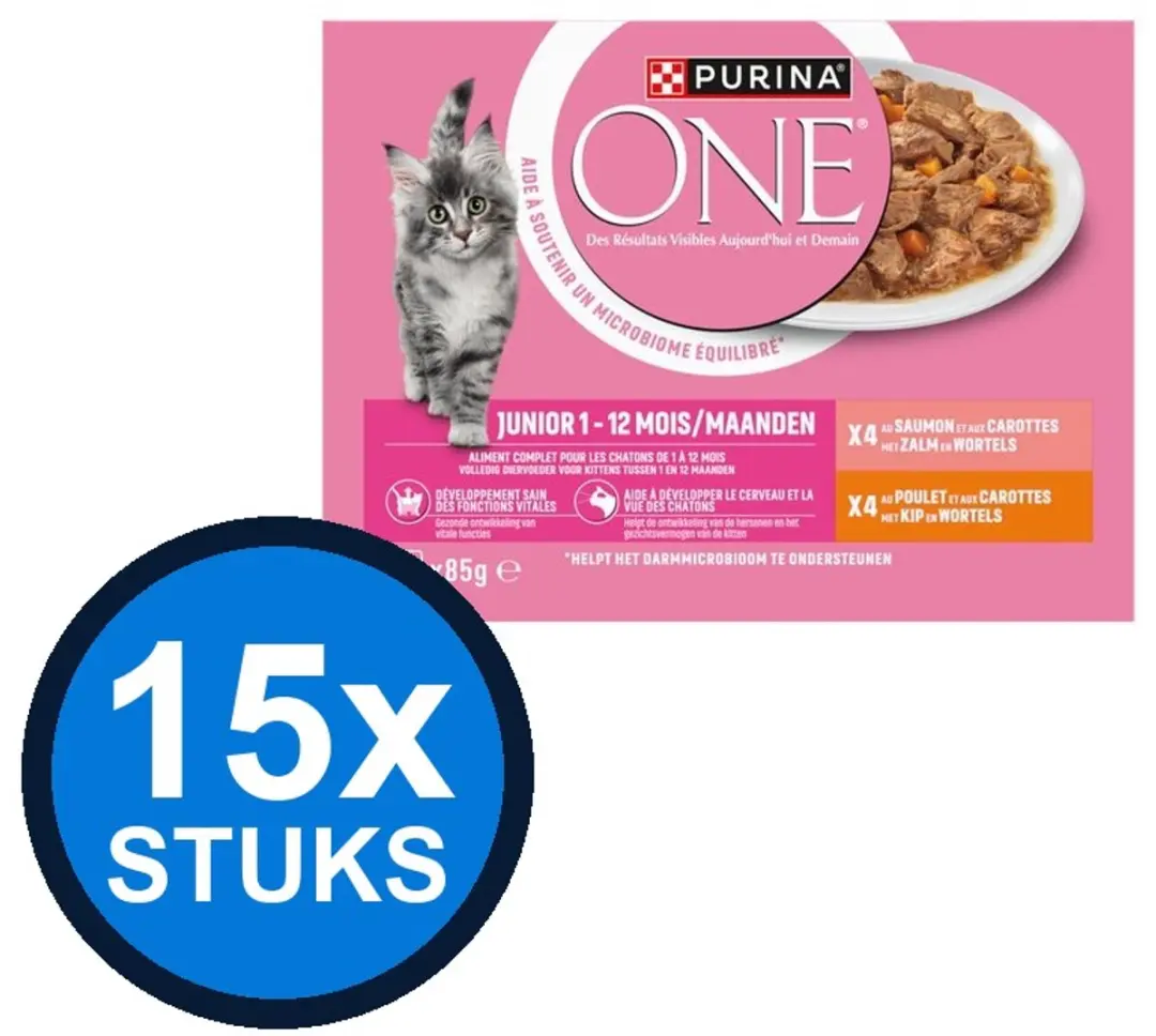 Purina ONE Junior Zalm Kip Wortels Saus Natvoer