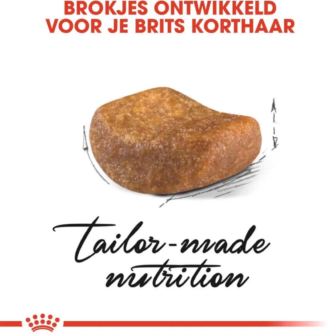 Royal Canin British Shorthair Adult Kattenvoer - 2x4kg