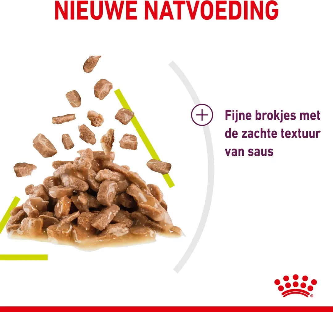 Royal Canin Sensory Smell Kattenvoer - 12x85g In Gravy