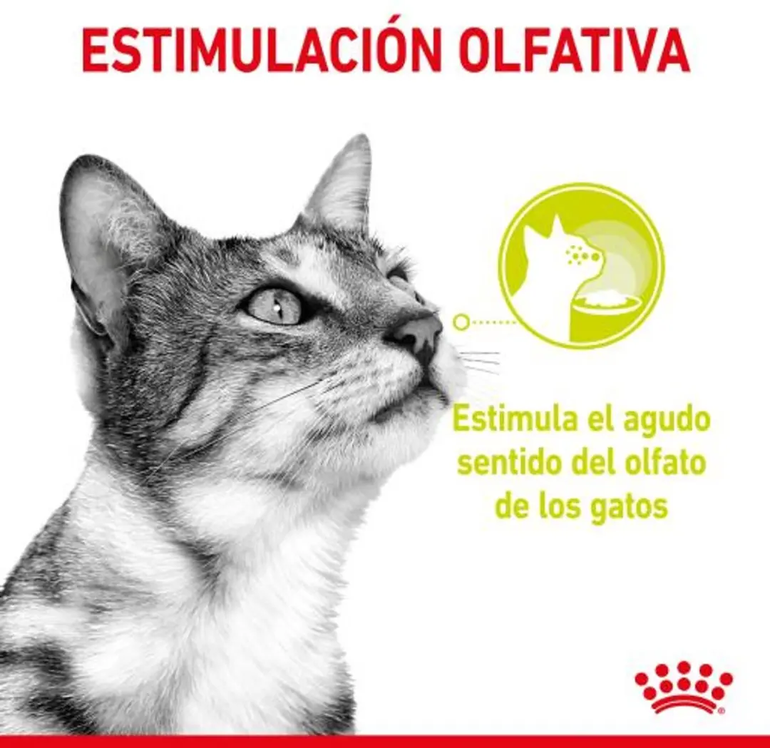 Royal Canin Sensory Smell Kattenvoer - 12x85g In Gravy