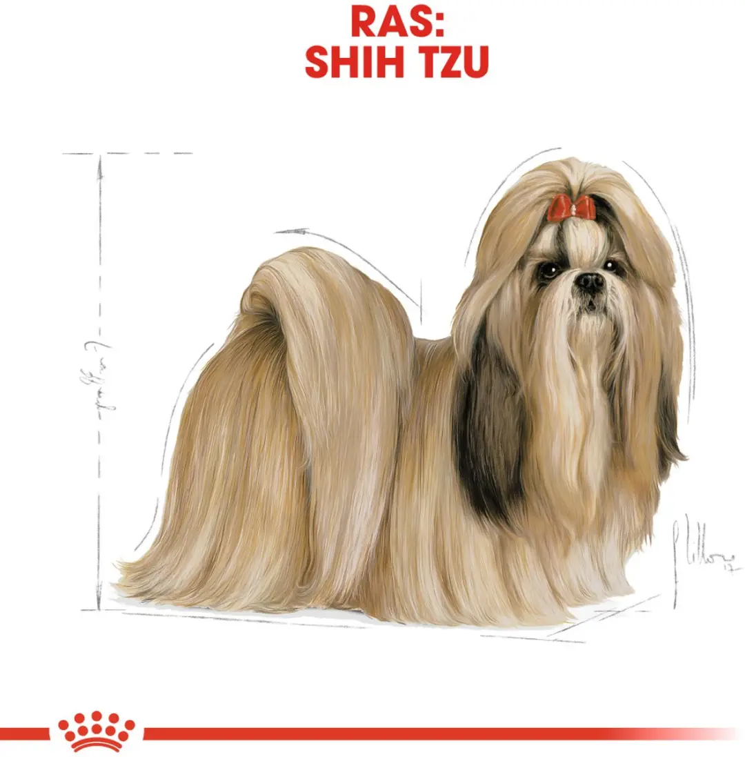 Royal Canin Shih Tzu Adult Hondenbrokken 7.5kg - afbeelding 6 van 6