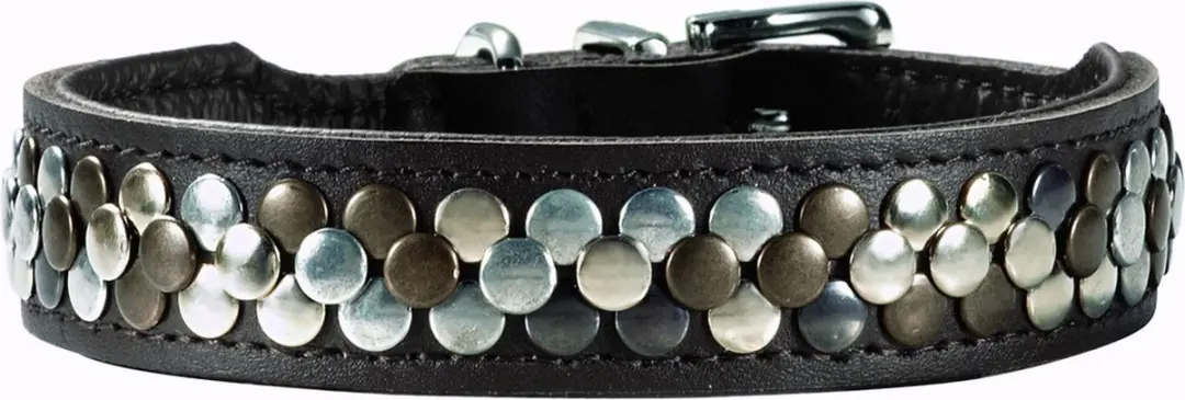 Hunter Halsband Arizona - Bruin