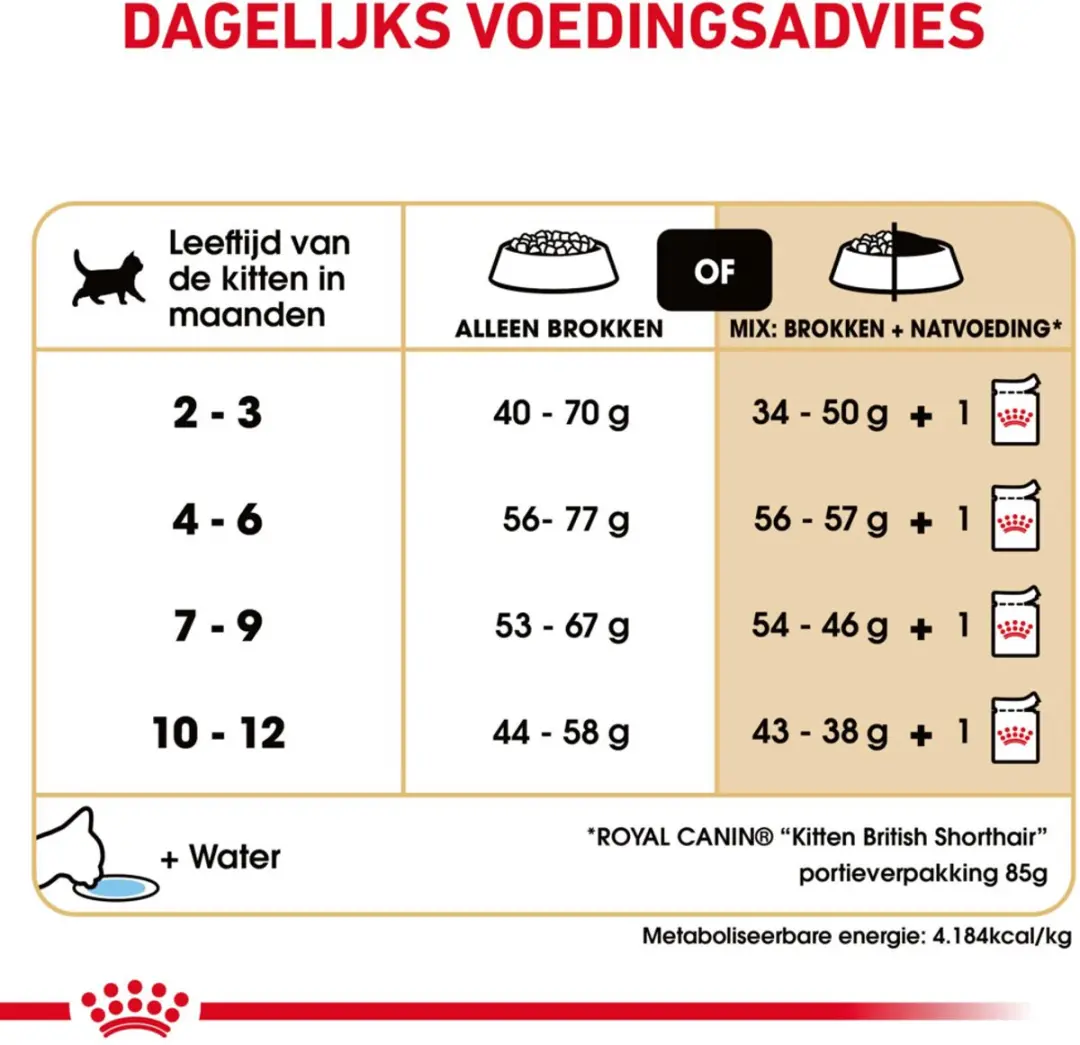 Royal Canin British Shorthair Kitten - 12 kg