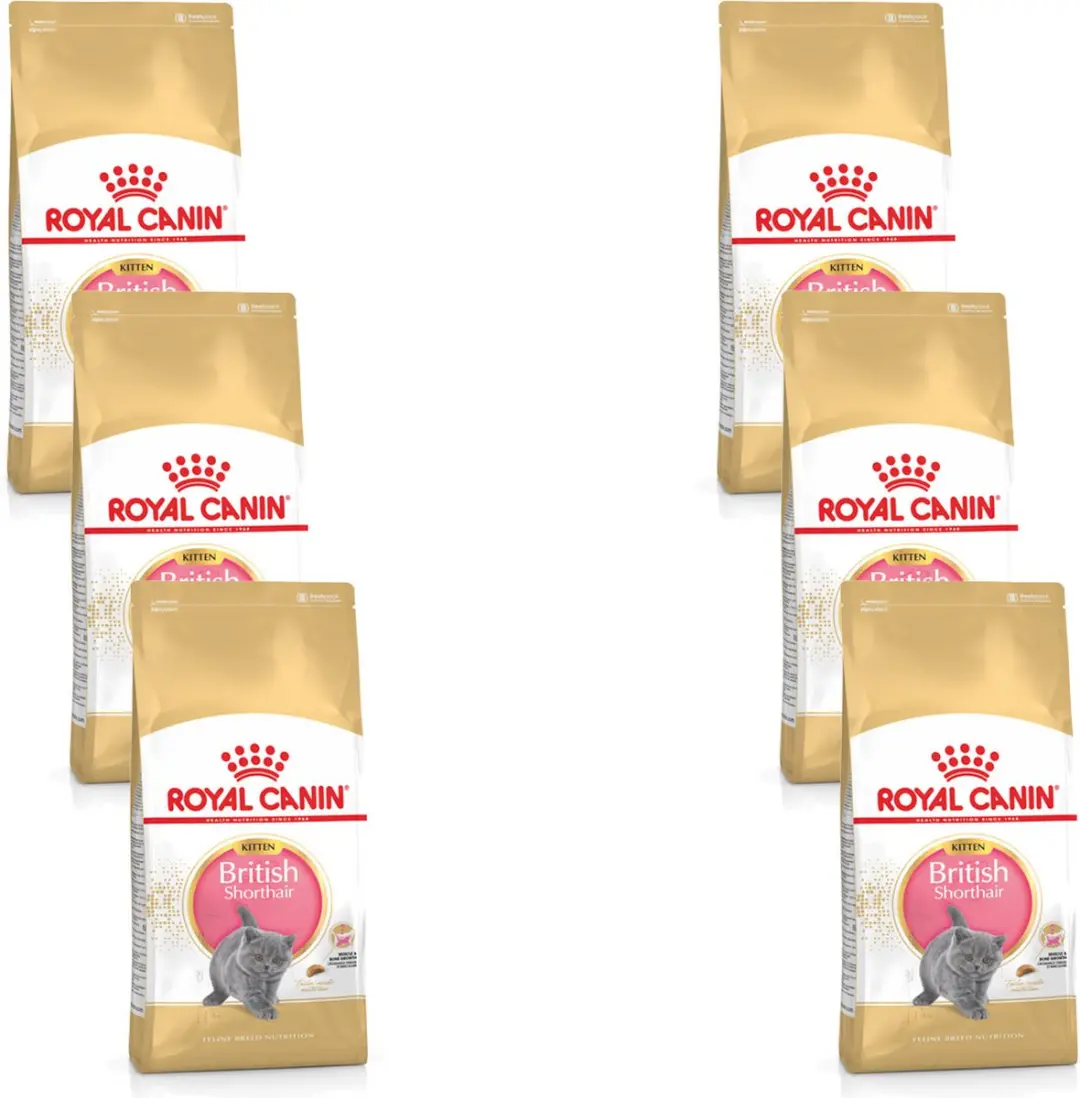 Royal Canin British Shorthair Kitten - 12 kg